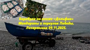 Барабуля на Дельфине! Мандарины и пер. Победы. Лазаревское 09.11.2025.