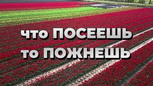 ЧТО ПОСЕЕШЬ То ПОЖНЁШЬ|НОВАЯ Христианская песня