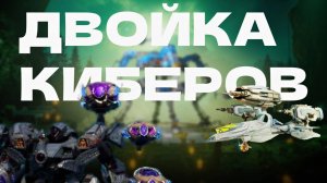 ДВОЙКА КИБЕРОВ