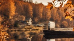 С Добрым Утром - Доброй недели легкого понедельника