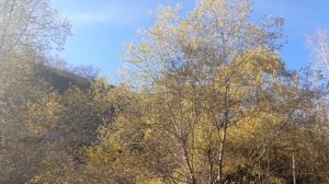 Солнце,скалы,ну и как без котика?)🐈⬛У Замка Коварства и Любви.Кисловодск🌞