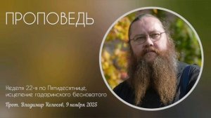 ПРОПОВЕДЬ. 22-я по Пятидесятнице, исцелении Гадаринского бесноватого, прот. Владимир Колосов. 2025