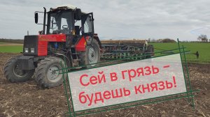 Посевная озимых 2025!