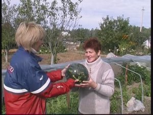 Дачная жизнь, выпуск №36 (Зоя Михайловна и Александр Николаевич Москалёвы). 2004 г.