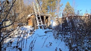 10198298 Победит 1