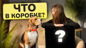 Большая распаковка для Лила