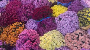 много уборки, 🧹 будни мамы с 6 детьми