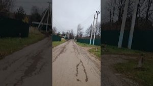 Унылая пора. Осень в Подмосковье. Пруд с островом в Поярково.