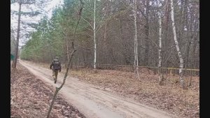 Небольшой поход по лесным дорогам.