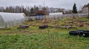 8-9 ноября 2025