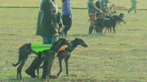 Ставропольские краевые состязания. 25.10.2025