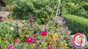 сорта клематисов