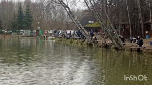 Вот так ловится в Липках