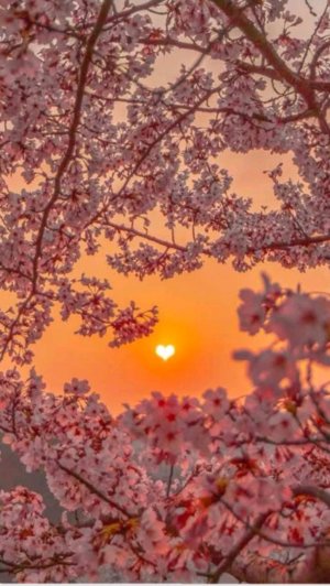 приветик 🎀💕