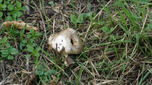 09=11=2025  ник  ТЭЦ   (89)