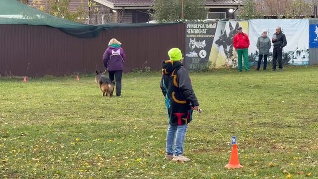 2 Отл. СС Зависть Богов ИМПЕРАТОР +++ №9. ВОРОНЕЖ 26 октября`25 Моно немецких овчарок