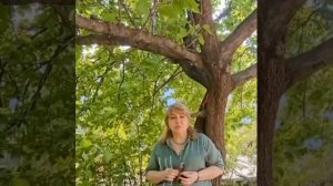 Онкология Рак Ребёнок Нано бальзам 89177396793 консультация приобретения Глобал Тренд