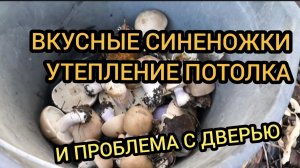 Утепляем потолок, едим синеножки. Проблема с входной дверью 2-3.11.2025