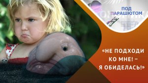 Обида: отомщу и забуду!