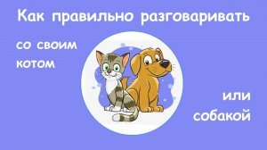 Как правильно разговаривать со своим котом или собакой (2025)