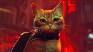 Прохождение игры Stray (про рыжего котика) | часть 2