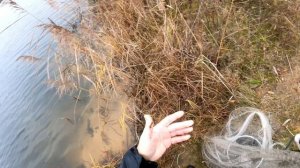 Закрытие сезона 2025!!! Это было круто!!! Рыбалка кастинговой сеткой  состоялась на все 💯😁😁😁👍🔥