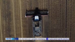 В Кузбассе собрали на 400 тысяч тонн зерна больше, чем в прошлом году