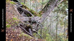 Анимационный сценарий фотографий