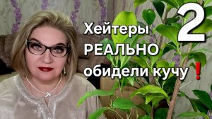 Хейтеры РЕАЛЬНО обидели кучу!