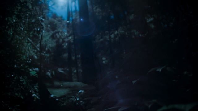 Земля ночью в цвете / сезон 1 / 2 из 6 / 2020, документальный, сериал