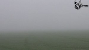 Охота на зайца с собаками сезон 2025-2026г (16 часть)