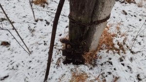 Коп по металлу