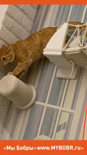 Остановись мгновение ты прекрасно...