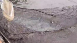 video_2025-11-10_09-22-51