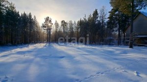 10294415 СНТ Сурмятино