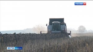 В Адыгее завершается уборка подсолнечника