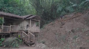 Строю дом и создаю пруд в лесу. Развожу огород и сажаю растения. Жизнь в лесу. Бушкрафт