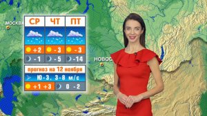 Прогноз погоды на 12 ноября в Новосибирске