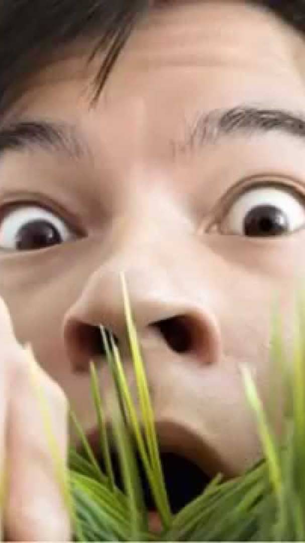 Её кусты всегда густы