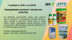 Завершение дачного сезона на участке