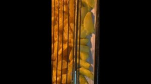 Ребрышки свиные в духовке