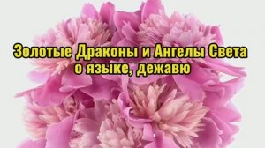 Золотые Драконы и Ангелы Света о языке, дежавю 27.10.2025г (180 Послание)