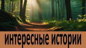 Православные рассказы - Фаддей Витовницкий