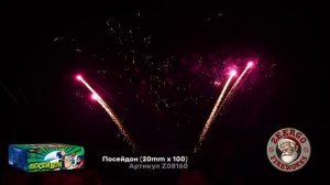 Посейдон (20mm х 100) Z08160