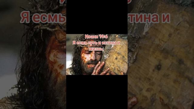 9 ноября 2025 г. смотреть онлайн