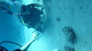 красоты морские