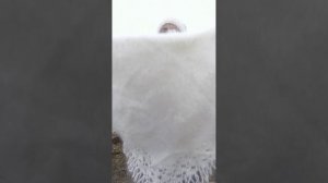 1000224460.mp4Скидочки.т.89020931602