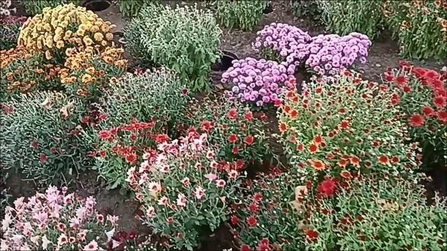 Будьте благодарны за то, что у вас есть (Луиза Хей)