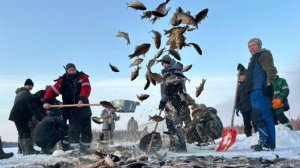 Мунха 2025. Крестях [4k видео]