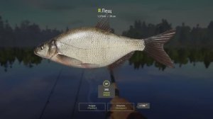 РР4 Острог. Точка на леща.